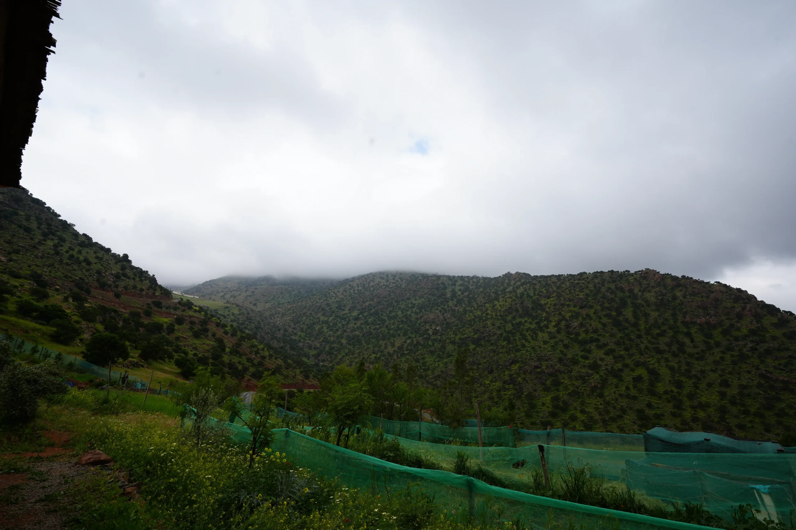 Agdal Brahim Aachour landscape