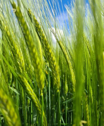 7b0930aca394ee371cd9d2992c5cccfddf9e8560