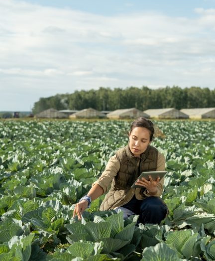 adcd4ed06c38d6d32a89e8fd3e164471f244f856